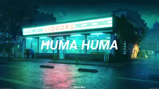 Huma Huma - Crimson Fly (No Copyright Music)