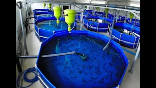 Fish Re-circulation Systems