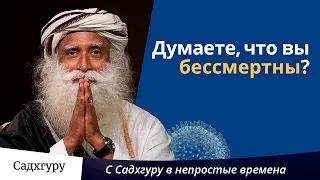 Думаете, что вы бессмертны?