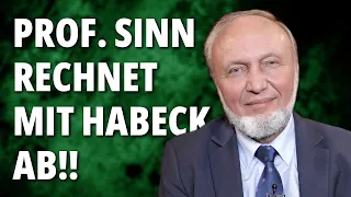 Prof Hans Werner Sinn ZERLEGT HABECK und die GRÜNEN!!