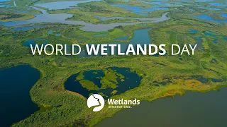 World Wetlands Day