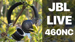 JBL Live 460NC | ХОРОШИЕ НАКЛАДНЫЕ НАУШНИКИ