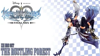 Kingdom Hearts BBS OST The Rustling Forest ( Enchanted Dominion Battle )