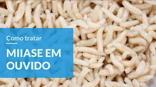 Miíase em ouvido / Ear myiasis