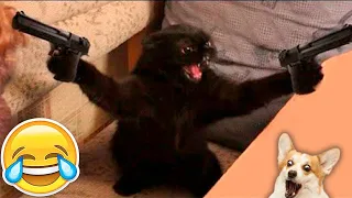New Funny Animals 2023 😂 Funniest Cats and Dogs Videos 😹🐶 Part 15