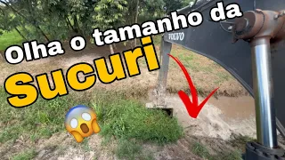 SUCURI DENTRO DA VALETA QUE EU TAVA LIMPANDO ‼️Escavadeira hidráulica