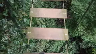 Hanging Sky Bridge at Flight of the Gibbon, Chiang Mai