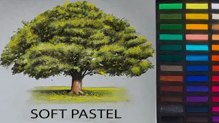 MAKING TREE (SOFT PASTEL) DRAWING