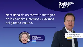 Necesidad de un control estratégico de los parásitos internos y externos del ganado vacuno.