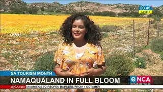 Namaqualand in full bloom