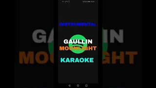 GAULLIN - MOONLIGHT (KARAOKE INSTRUMENTAL)