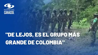 ¿Dónde delinque el Clan del Golfo, considerado el grupo armado ilegal más grande de Colombia?