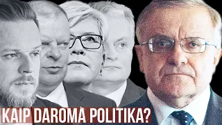 Kaip daroma politika abiejose Lietuvose? Vytautas Radžvilas