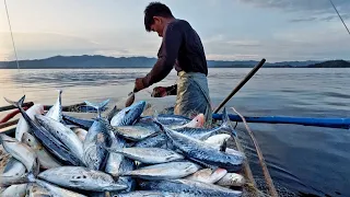 Jackpot sa tulingan huli sa lambat at hilahila Filipino traditional fishing varando tv