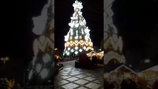 Новогодняя елка в Риге "Лидо"