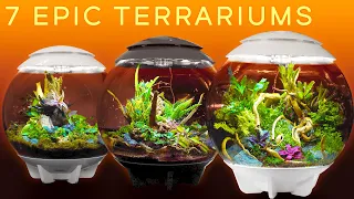 Seven Terrariums That Will Inspire You — Giant BiOrbs