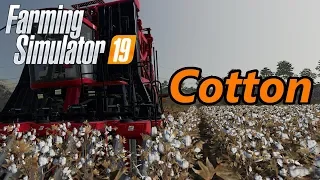 Farming Simulator 19 Tutorial | Cotton