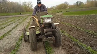 мотоблок Кентавр фрезування міжряддя полуниці