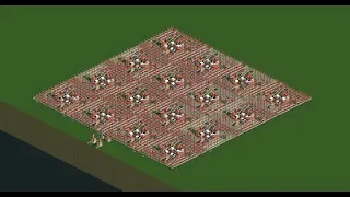 RCT2 - What is the highest number of guests possible?