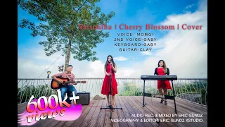 VAISOHLHU/CHERRY BLOSSOM/COVER