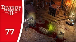 Careful with the eggs - Let's Play Divinity: Original Sin 2 #77