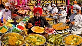 500+ Food Items | Punjab Ki luxury Wedding