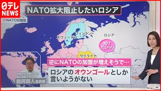 【解説】ロシア“大失態” ７０年以上の歴史に転換？北欧２国NATO加盟？『知りたいッ！』