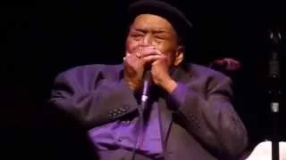 James Cotton and Charlie Musselwhite live 2014