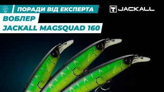 Воблер Jackall MagSquad 160 | Риболовля | Ібіс
