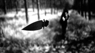 If These Trees Could Talk - They Speak With Knives