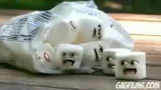 MarshMallow murder mp4240p H 264 AAC