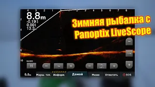 Kallavesi. Sotka. Зимняя рыбалка с Panoptix LiveScope.