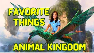 Things you MUST Do In Disney's Animal Kingdom | Things To Do At Animal Kingdom Disney World