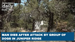 Man dies after dog attack in Juniper Ridge