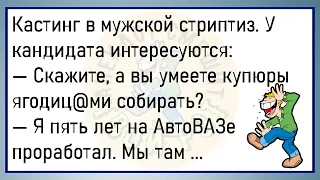 💎Беседуют Две Доярки На Ферме...Сборник Весёлых Анекдотов, Для Супер Настроения!