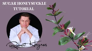 How to Make a Sugar Flower paste - Gum paste Honeysuckle with Robert Haynes