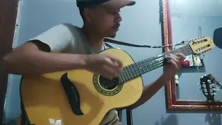 SELEÇÃO DE PAGODES - Goiano e Paranaense / Cover (Viola) Bruno Violeiro