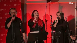 Ladybugz - In The Summertime [Živooke] (Live radio performance)