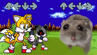 FNF Chasing but Sad Hamster Becomes MEME vs Tail's exe Sing it - Friday Night Funkin'