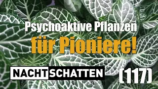 Psychoaktive Pflanzen für Pioniere | Nachtschatten Television (117)