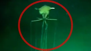 5  Most Unexplained & Mysterious  Sea Creatures Caught On Camera & Tape