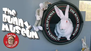 The Bunny Museum