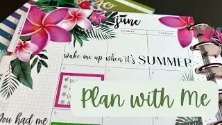 Plan with Me // Classic Budget Happy Planner // June Monthly