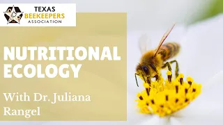 Nutritional Ecology of Honey Bees in a Changing Landscape with Dr. Juliana Rangel