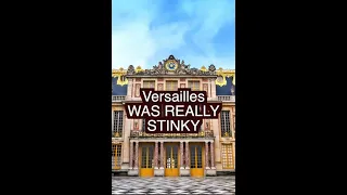 Versailles Stunk #shorts