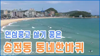 미역도 맛보고 해운대 역사도 알아보는 송정동 동네한바퀴!