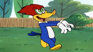 Woody Woodpecker | Robot Woodpecker + More Full Episodes