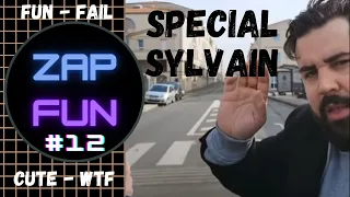 ZAP FUN #12  - Best of the web ! Fun - Fail - Cute - WTF ! Special compilation Sylvain - Artus