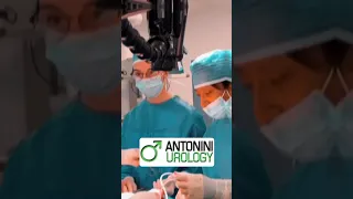 Protesi de pene Antonini Urology