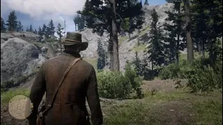 Что будет если найти все наскальные изображения в RDR 2